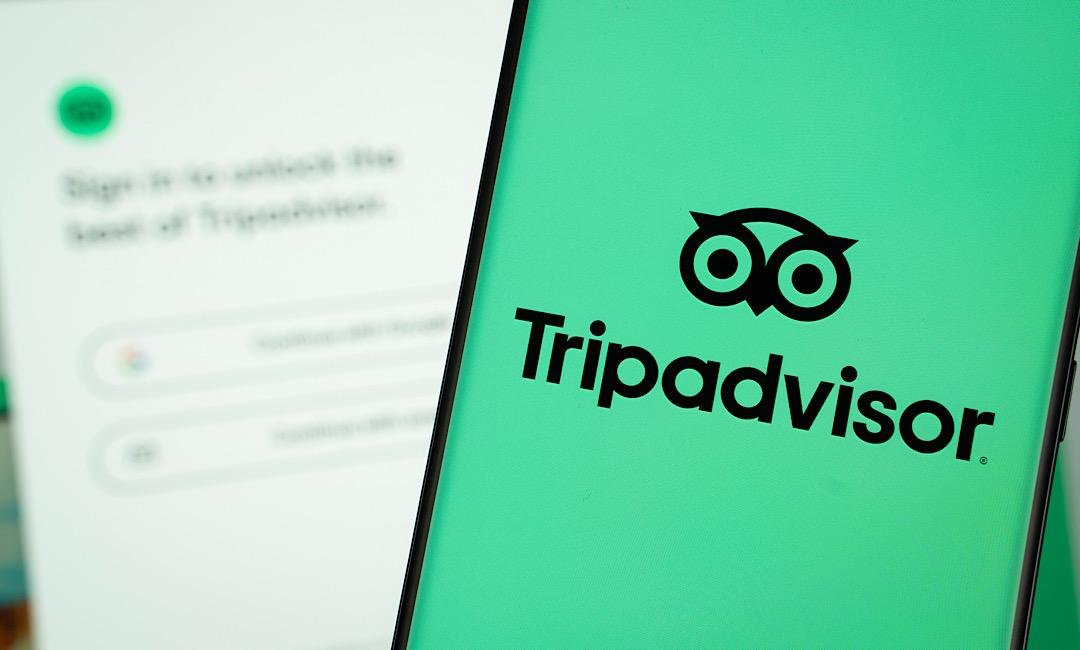 remove tripadvisor reviews